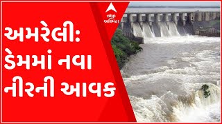 અમરેલી જિલ્લાના 6 ડેમ છલોછલ ભરાયા, જુઓ ગુજરાતી ન્યુઝ