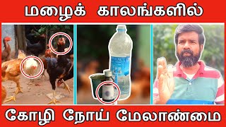 கோழிகளுக்கு மழைக்கால நோய் மேலாண்மை | மழைக்கால நோய்க்கு மருந்து | TAMIL | GUNA NATTUKOZHI PANNAI