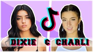 Charli and Dixie D'amelio Newest TikTok Compilation