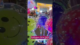 Pallishree Mela 2023😍🥳 #dhenkanallaxmipuja #dhenkanal #odisha #shorts #youtubeshorts #shortsvideo