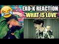 EXO-K 엑소케이 'WHAT IS LOVE' MV (Korean Ver.) | VOCALS MADE ME FAINT! | REACTION!!