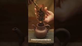 試一試系列【執酉壺】🫖 古典茶瓶 x 當代設計，茶藝師都讚：「Nice!」｜ Cha-Tailor Tea Specialist #tea #喝茶 #teatime #茶道 #宋代點茶 #紫砂壺