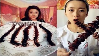 Chinese eating show， 吃油炸蜈蚣、猪鼻子、蝉蛹等食物，各种奇葩的吃货们