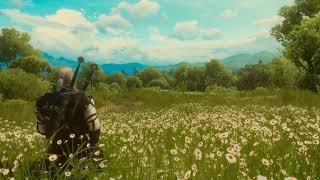 Meditate Like A WITCHER 🎵 Relaxing Music SLEEP