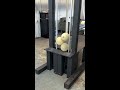 guillotine vs cantaloupes