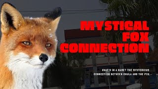 What's in a Name? The Mysterious Connection Between Chula and the Fox