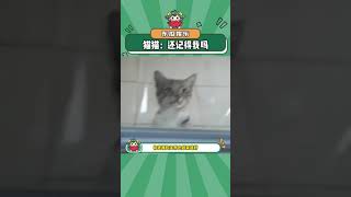 猫猫：这么久了，你还记得我吗？ #万万没想到 #猫咪 #娱乐评论大赏#shorts