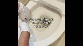 パイプハイターでトイレ掃除をしてみた！