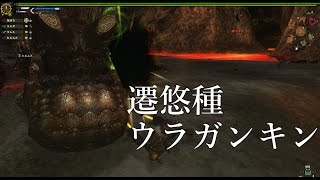 【MHF-Z】遷悠種ウラガンキン【G級】【モンハン実況】