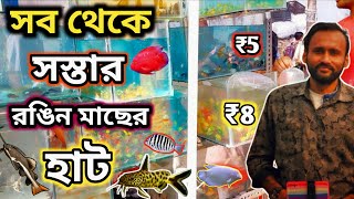 রবিবার সকালে রঙিন মাছের হাট অল্প দামে রঙিন মাছ naihati aquarium fish market  naihati pet market