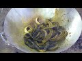 woow spicy fried snake 10kg recipe prepare by two brother