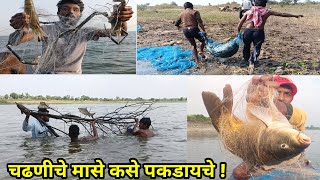 चढणीचे मासे कसे पकडायचे | Amazing Fishing Videos In River | Traditional Net fishing Videos