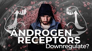 Do Androgen Receptors Downregulate After Continuous Steroid Use?