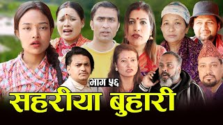 सहरीया बुहारी- ५६ | Sahariya Buhari Episode- 56 | कथा बुहारीकाे | New Nepali Sentimental Serial