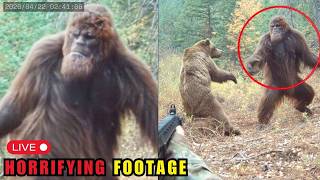 3 Hours of Most DISTURBING Bigfoot Encounters Caught on Camera