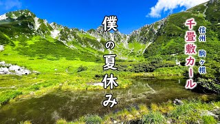 【2023 千畳敷カール】僕の夏休み 　#千畳敷カール #木曽駒ヶ岳 #雷鳥  #中央アルプス