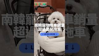 南韓的國家警報🚨寵物推車銷量超過嬰兒推車 #podcast