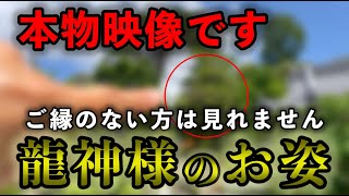 ⚠️神回※もし逃したら二度とありません※はっきりと現れた龍神様のお姿を見れたら超強運！願いが必ず叶います※春日神社遠隔参拝２７３