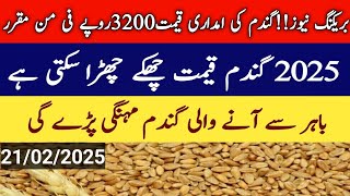 Breaking news Wheat support price 2025/گندم کی امدادی قیمت برائےسال2025فائنل