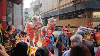 【台北弘武舘-醒獅團】~112台北通化福德宮福德正神暨建宮65週年遶境