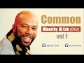 COMMON MIX - AIRSH