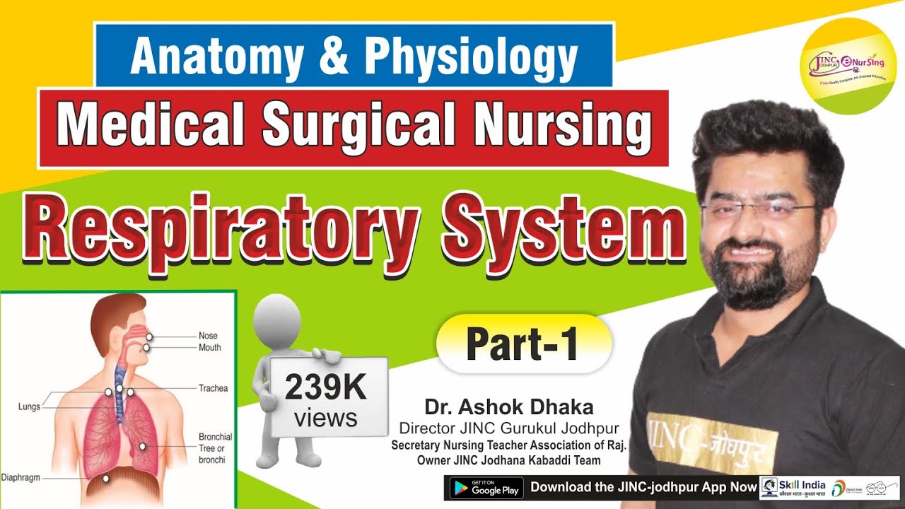 Respiratory System Part-1 - YouTube