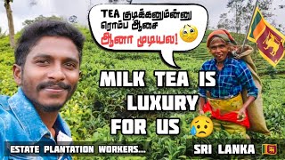 Milk tea is luxury for us | டீ குடிக்கனும்ன்னு ஆசை | Plantation workers in upcountry srilanka 🇱🇰