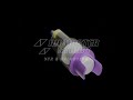 nose irrigation procedure animation animaster 3d and vfx studio