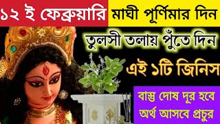 মাঘী পূর্ণিমার দিন তুলসী তলায় গোপনে পুঁতে দিন এটি, বাস্তুদোষ দূর হবে রাতারাতি অর্থ আসবে প্রচুর