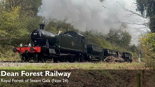 Dean Forest Railway - Royal Forest of Steam Gala (Nov. 24)