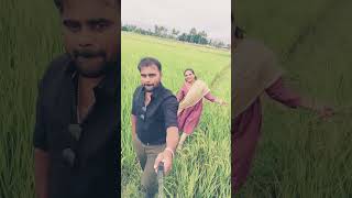 సంక్రాంతి శుభాకాంక్షలు పచ్చటి పొలాలు #forming #trending #bhargaviteluguvlogs #funny