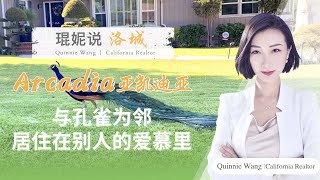 【琨妮说洛城】之亚凯迪亚｜与孔雀为邻 居住在别人的爱慕里