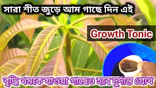 আম গাছে দিন গ্রোথ টনিক,গাছে আসবে নতুন ব্রাঞ্চ পাতা থাকবে সবুজ🥭Mango plant care @greenfriends8901