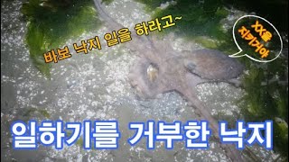 영흥도 통제 하기전에 해루질 다녀오자~