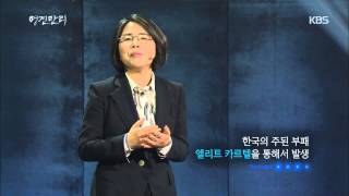 [HIT] 명견만리 - 한국의 주된 부패, 인맥을 통한 '엘리트 카르텔', #김영란 20150423