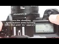 how to use a canon eos 650 film camera