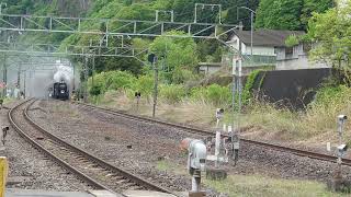 2023.04.30 上越線 SLみなかみ  D51 498号機(緑ナンバープレート) 岩本駅