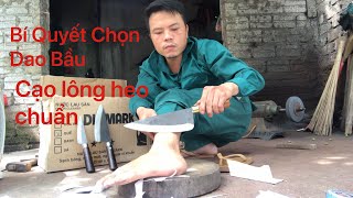 Cách chọn dao bầu cạo lông heo cực chuẩn(@ mua dao hãy gọi zalo 0379929553)