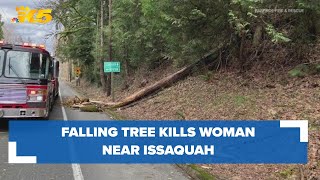 Falling tree kills 1 woman in Issaquah