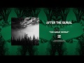 AFTER THE BURIAL - The Great Repeat