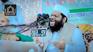 আহ! কি আজিব তিলাওয়াত।  কারী সাইদুল ইসলাম আসাদ। Qari Saidul Islam Asad. Quran Tilawat.