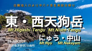 にゅう・東/西天狗岳・中山・高見石 白駒池から周回（長野県茅野市/小海町)25JUN2022