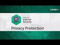 How do you use Kaspersky Internet Security 2016 to protect your privacy online?