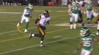 Henry Burris Grey Cup touchdown run - November 24, 2013