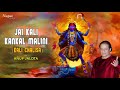 shree kali chalisa श्री काली माता चालीसा jai kaali kankaal malini anup jalota