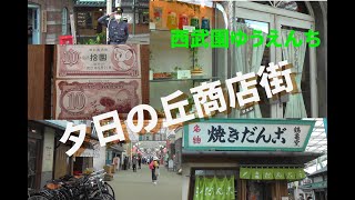 新しくなった西武園ゆうえんちの目玉！夕日の丘商店街 はこんなところ