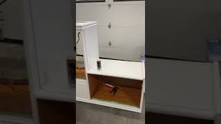 MAKING A REPTILE ENCLOSURE OUT OF A ENTERTAINMENT STAND PT 3! #shorts