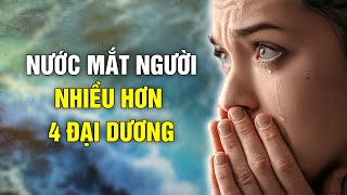 Nước mắt con người nhiều hơn 4 đại dương | Tinh Hoa TV