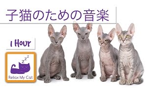 若い子猫のための音楽は、彼らがリラックスし、眠りに取得します