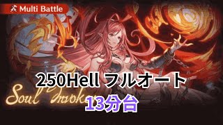 【水古戦場】250hell 黒漆なし パラデイン 安定フルオート 13分台【グラブル】